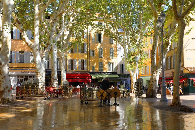 A square with plane trees and cafés in Aix-en-Provence