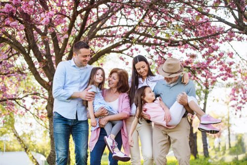 Three generations of a family walking together under blossoming trees